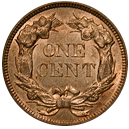 flying eagle cent 1856-1858 back