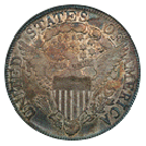 draped bust half dollar 1796-1807 back